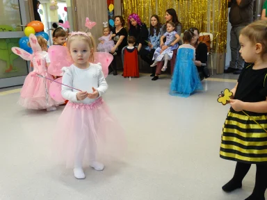 BAL KARNAWAŁOWY 2026 r.. Zdjęcie nr 53