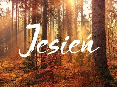 NADESZŁA JESIEŃ :-)