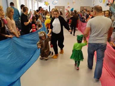 BAL KARNAWAŁOWY 2017 r.. Zdjęcie nr 17