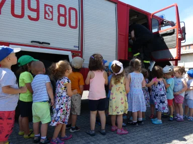 POKAZY STRAŻACKIE W ŻŁOBKU 2019 R.. Zdjęcie nr 15