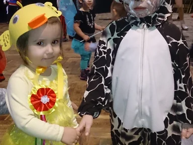 BAL KARNAWAŁOWY 2016 r.. Zdjęcie nr 12