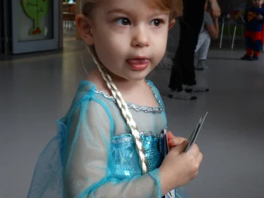 BAL KARNAWAŁOWY 2017 r.. Zdjęcie nr 20